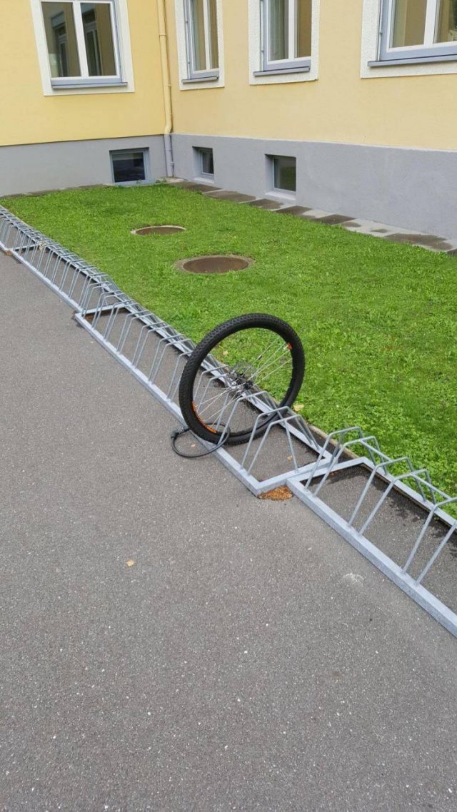 bicycle accessory
