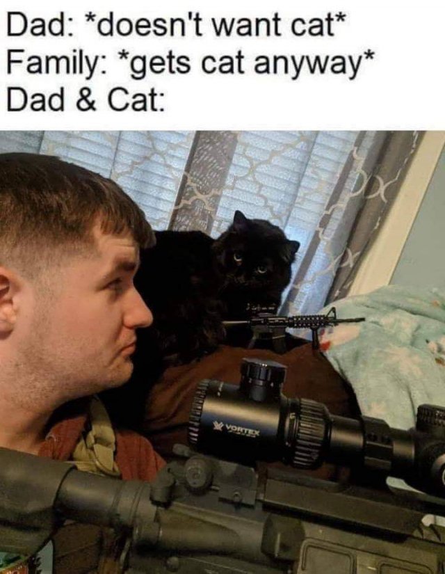 military - Dad doesn't want cat Family gets cat anyway Dad & Cat