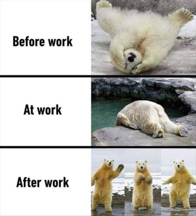 before work after work - Before work At work After work