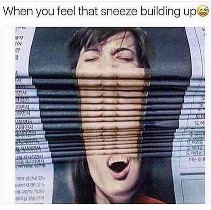 newspaper glitch - When you feel that sneeze building up 10 Mad Wat Stalo Newse Hara 1 678 1 706