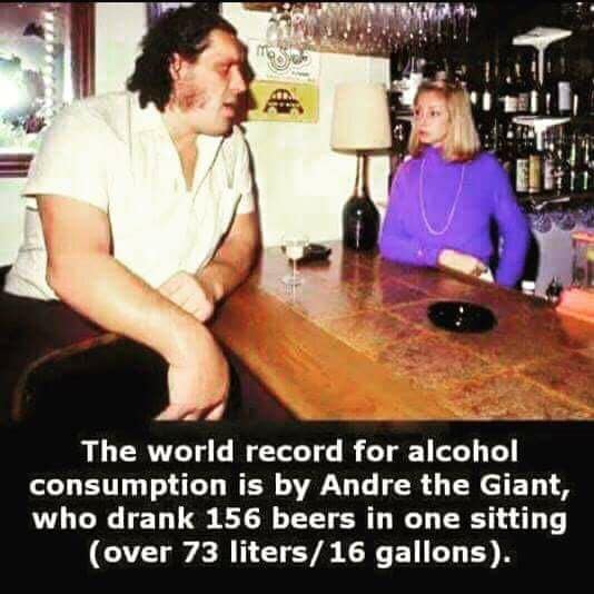 most beers in one sitting - Moyo The world record for alcohol consumption is by Andre the Giant, who drank 156 beers in one sitting over 73 liters 16 gallons.