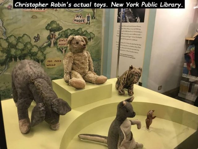 christopher robin's toys - Christopher Robin's actual toys. New York Public Library. My House Owle House 100 Aker Woo