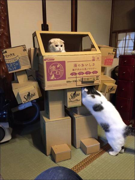 cardboard robot cat