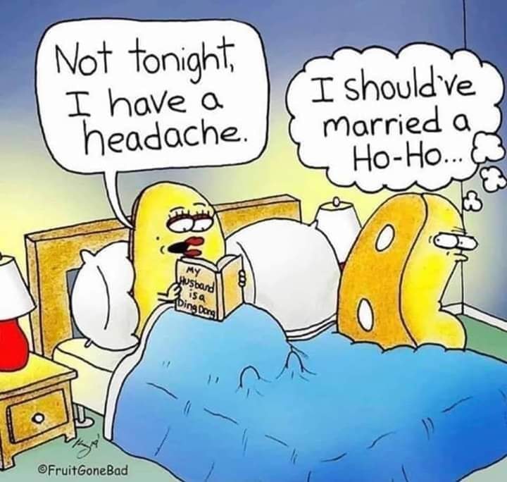 cartoon - Not tonight, I have a headache. I shouldive i married and HoHo... Ausband Ding Dong Fruit GoneBad