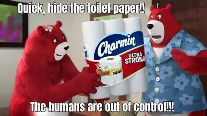 Charmin - Quick, hide the toilet paper!! Charmin Ultra Strong Mega The humans are out of control!!!