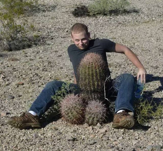 cactus anal