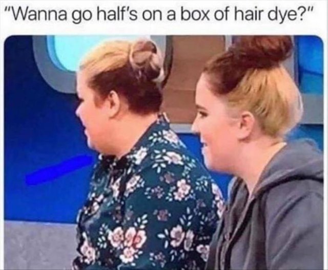 half on a box of hair dye - "Wanna go half's on a box of hair dye?"