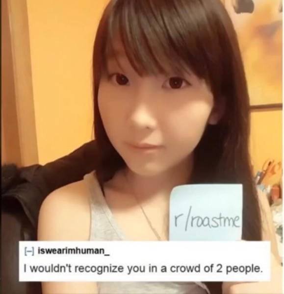 best roast ever - roastme iswearimhuman_ I wouldn't recognize you in a crowd of 2 people,