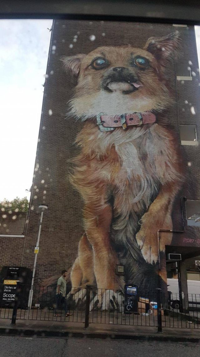 street art dog london
