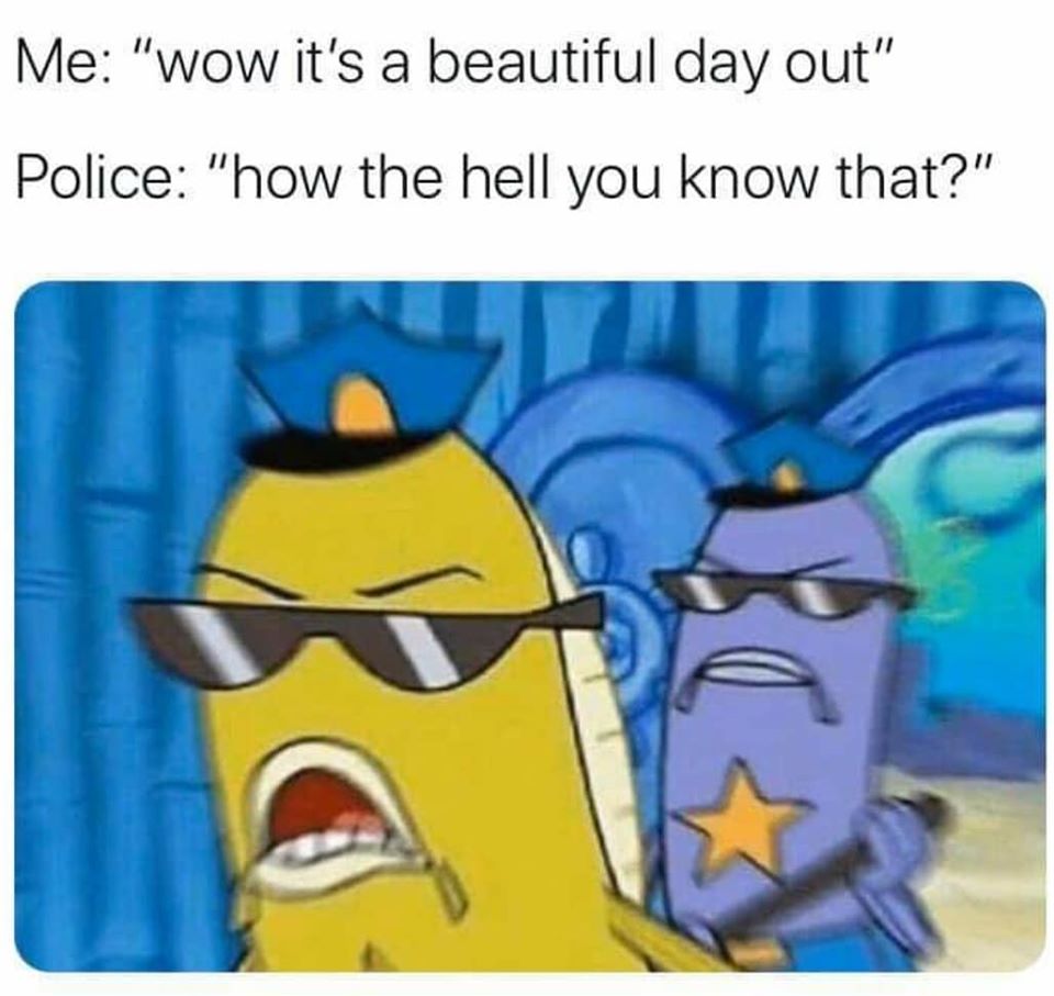 fbi open up meme - Me "wow it's a beautiful day out" Police "how the hell you know that?"