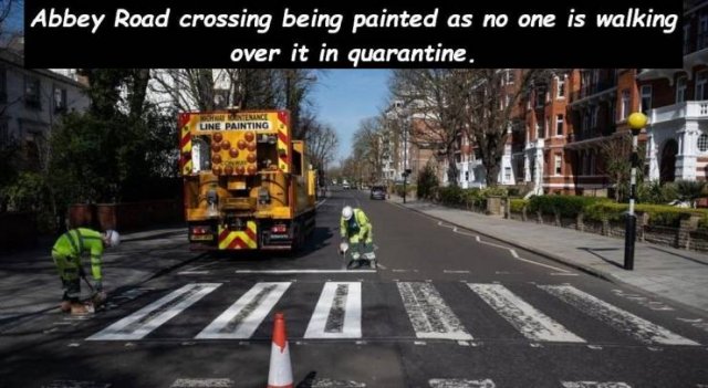 lane - Abbey Road crossing being painted as no one is walking over it in quarantine. Une Painting