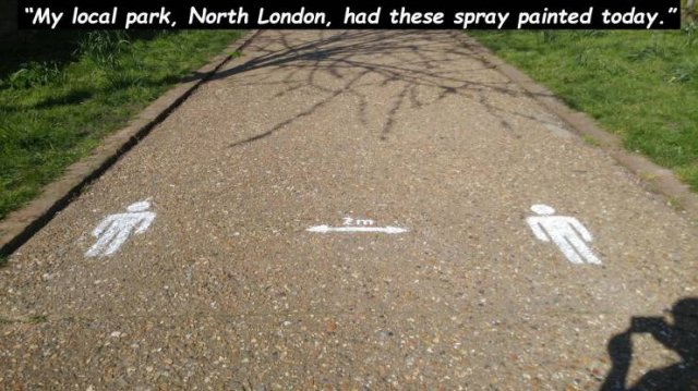 soil - "My local park, North London, had these spray painted today."