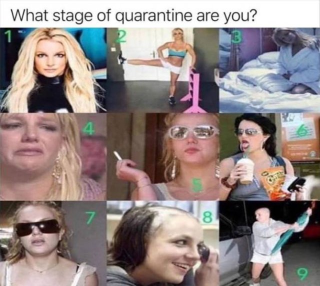 What stage of quarantine are you?