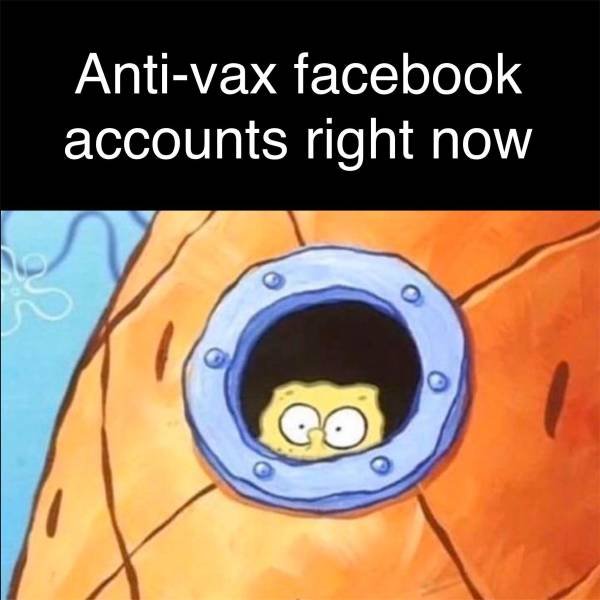 spongebob quarantine meme - Antivax facebook accounts right now co o