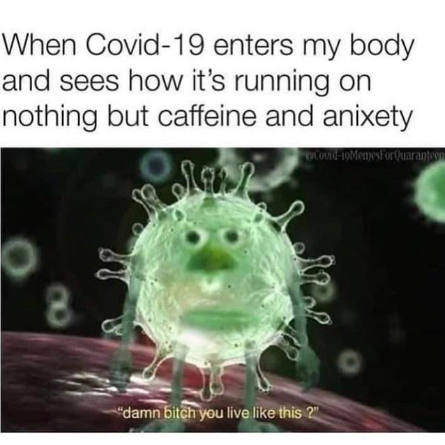 memes coronavirus - When Covid19 enters my body and sees how it's running on nothing but caffeine and anixety Ov19 MemesForQuaranten "damn bitch you live this?",