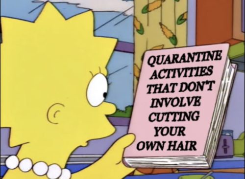 didn t do it simpsons - Quarantine Activities That Dont Involve Cutting Your Own Hair