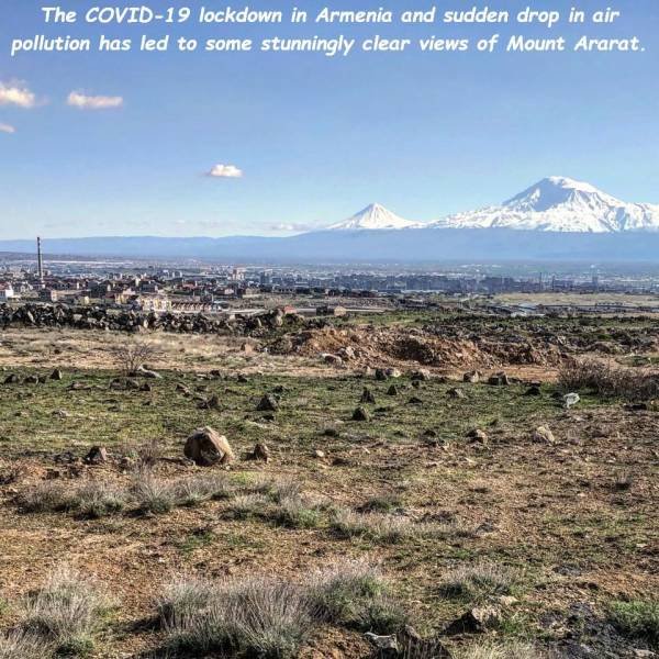 grassland - The Covid19 lockdown in Armenia and sudden drop in air pollution has led to some stunningly clear views of Mount Ararat.