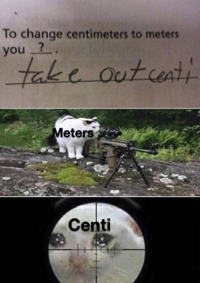 cat sniping meme - To change centimeters to meters you? take out centi Meters Centi Hhh