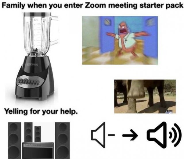 Starter Pack - Family when you enter Zoom meeting starter pack mu Yelling for your help.