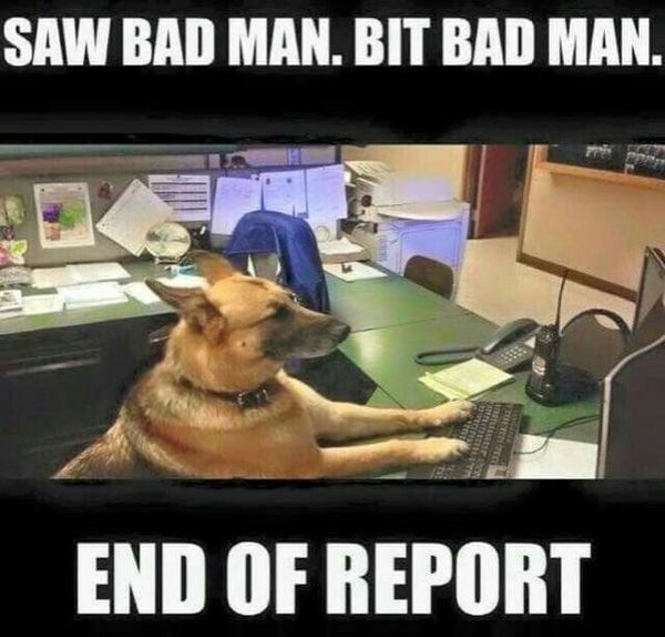 police dog report - Saw Bad Man. Bit Bad Man. Wong End Of Report