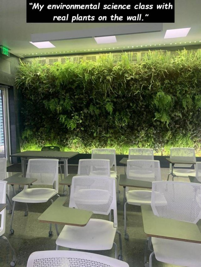 table - "My environmental science class with real plants on the wall." Mural