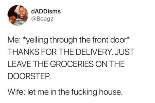 meme about being in your 20s - DADDisms Me yelling through the front door Thanks For The Delivery. Just Leave The Groceries On The Doorstep. Wife let me in the fucking house.