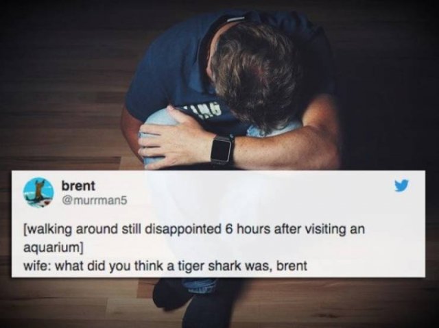 brent walking around still disappointed 6 hours after visiting an aquarium wife what did you think a tiger shark was, brent