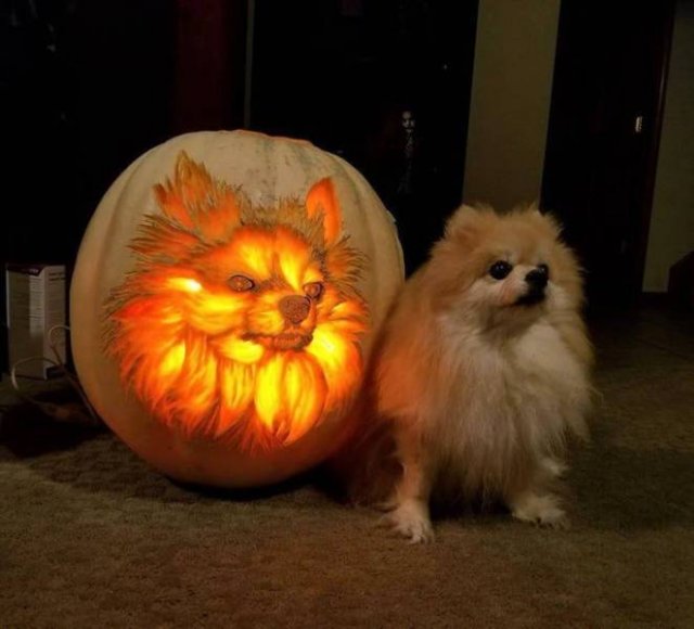 dog pumpkin ideas