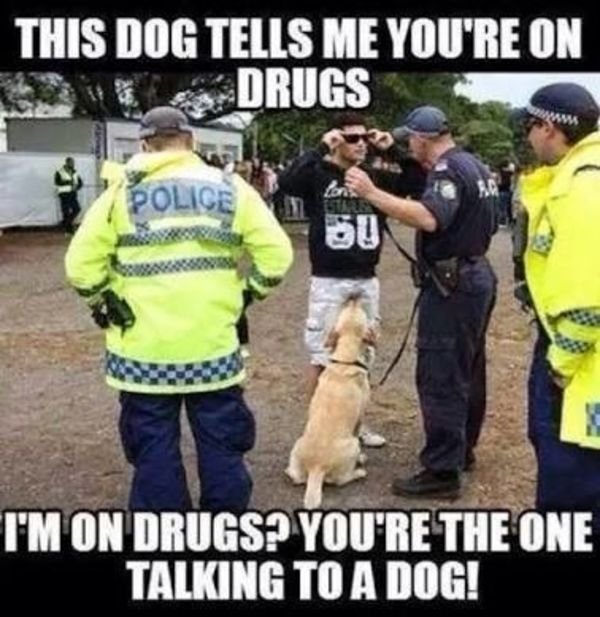 funny meme police - This Dog Tells Me You'Re On Drugs Police 50 I'M On Drugs? You'Re The One Talking To A Dog!