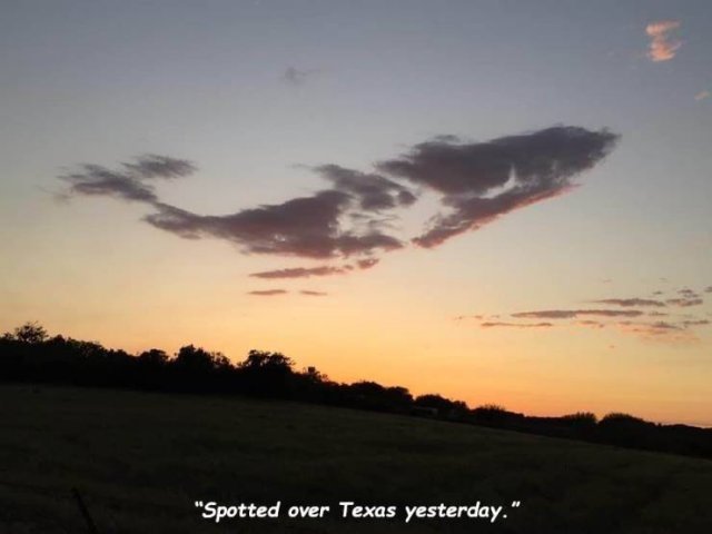 sky - "Spotted over Texas yesterday."