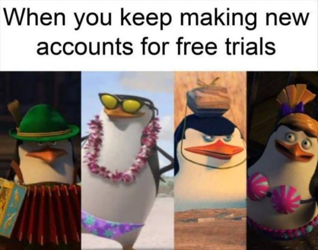 kowalski analysis meme - When you keep making new accounts for free trials