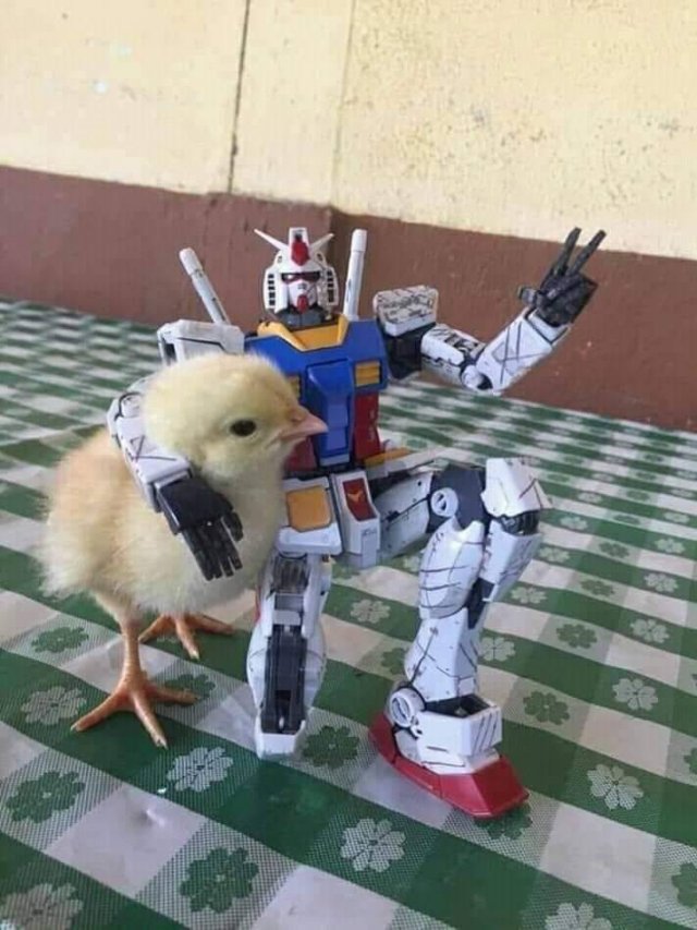 gundam and chick