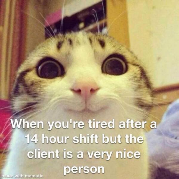 cat pictures to make you smile - When you're tired after a 14 hour shift but the client is a very nice person made with mematic
