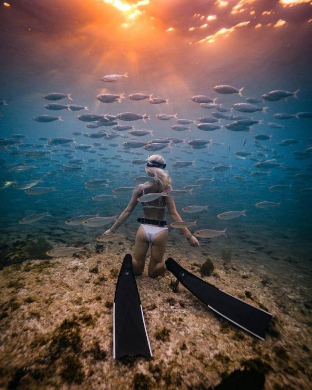Underwater photography woman babe snorkeling