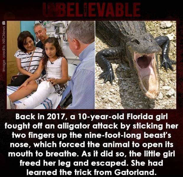 photo caption - Unbelievable Image credits NBCNews @ Back in 2017, a 10yearold Florida girl fought off an alligator attack by sticking her two fingers up the ninefootlong beast's nose, which forced the animal to open its mouth to breathe. As it did so, th