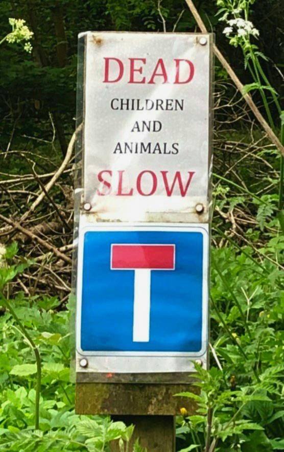 grass - Dead Children And Animals Slow