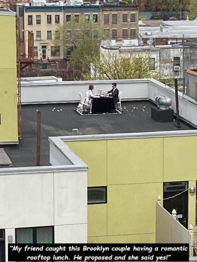 roof - "My friend caught this Brooklyn couple having a romantic rooftop lunch. He proposed and she said yes!"