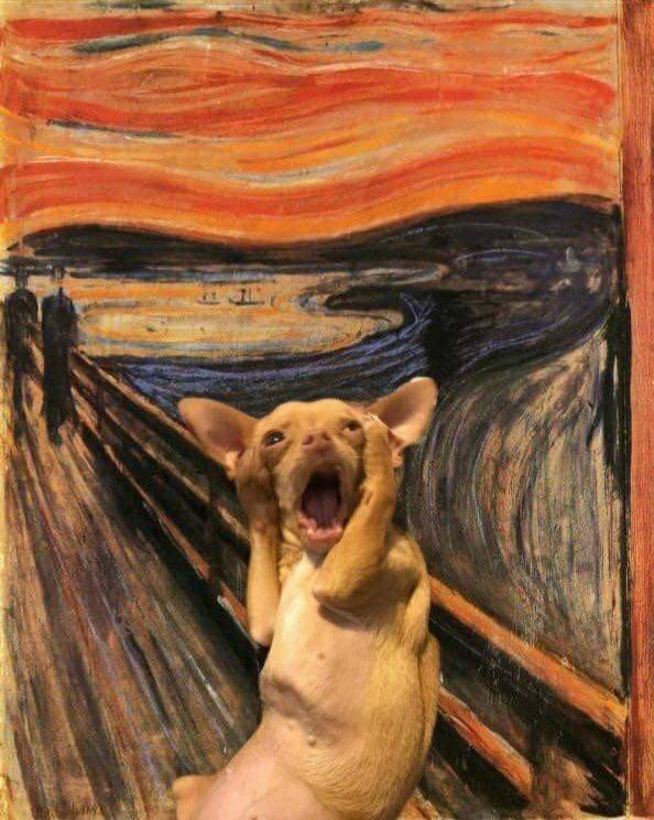 scream edvard munch