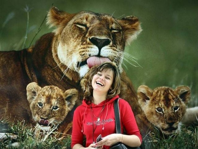 lioness with three cubs -