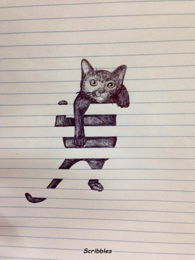 cat drawing lined paper - Scribbles