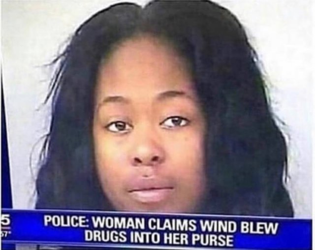 wind meme - 5 Police Woman Claims Wind Blew Drugs Into Her Purse 67