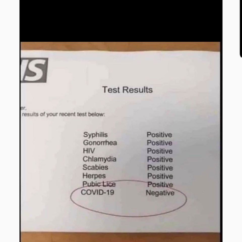 document - Is Test Results results of your recent test below Syphilis Gonorrhea Hiv Chlamydia Scabies Herpes Pubic Lice Covid19 Positive Positive Positive Positive Positive Positive Positive Negative