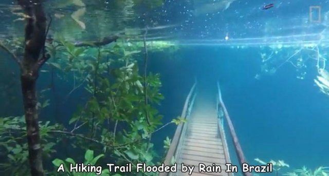 flooded hiking trail brazil - A Hiking Trail Flooded by Rain In Brazil