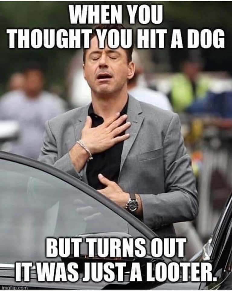 robert downey thank goodness meme - When You Thought You Hit A Dog But Turns Out It Was JustA Looter. Imolin.com