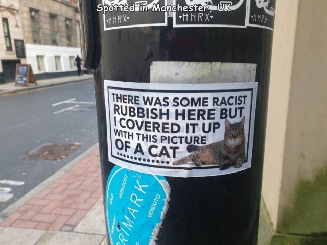 manchester cat sticker racist - Spotted in Manchester, Uk Hnrx Arx There Was Some Racist Rubbish Here But Icovered It Up With This Picture Of A Cat Serkocht Primark Venduto
