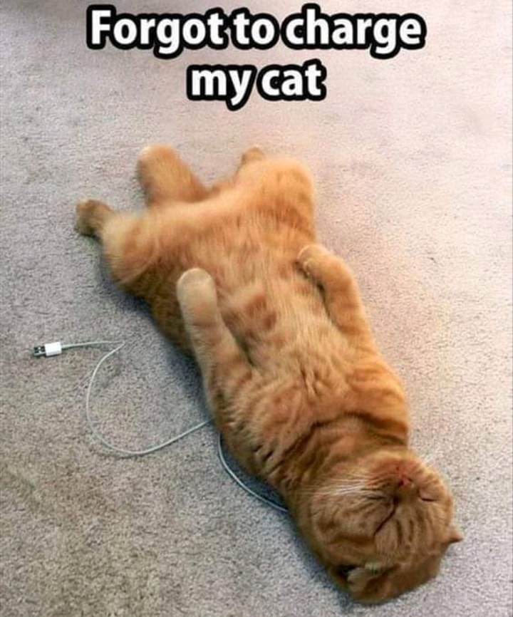 best cat memes - Forgot to charge mycat