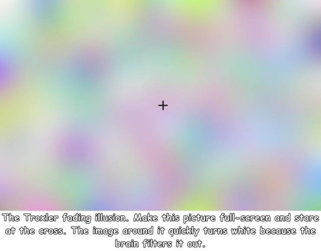 sky - The Troxler fading illusion. Make this picture fullscreen and stare at the cross. The image around it quickly turns white because the brain filters it out.