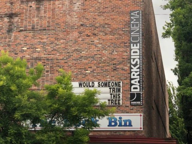 landmark - Darkside Cinema Would Someone Trim This Tree Bin