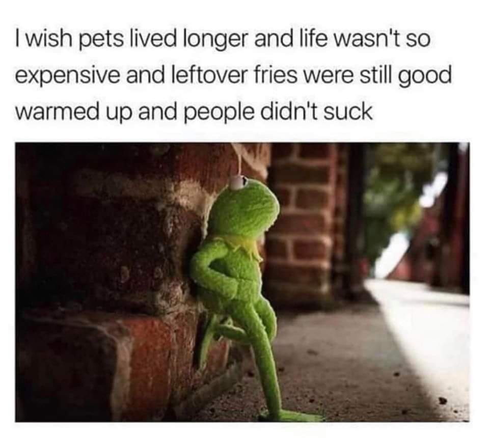 how's life meme - I wish pets lived longer and life wasn't so expensive and leftover fries were still good warmed up and people didn't suck