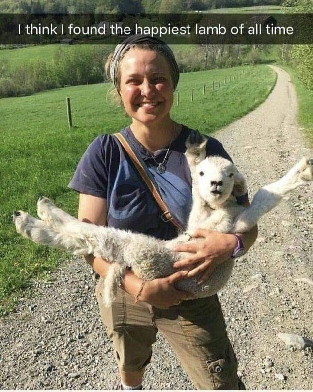 happiest pictures ever - I think I found the happiest lamb of all time